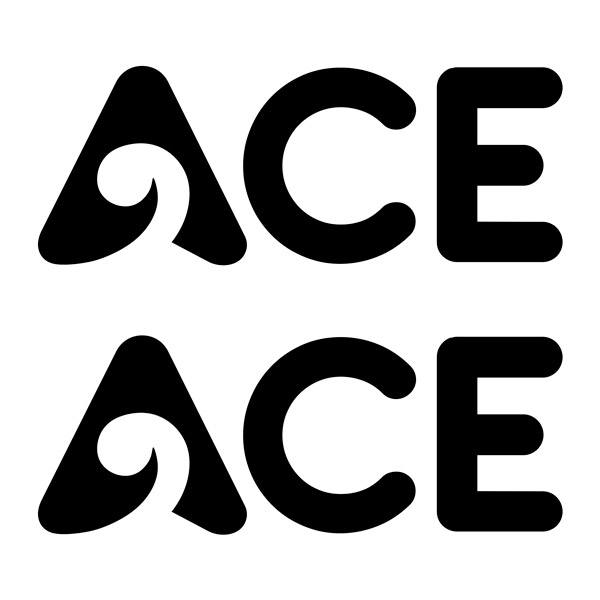 Camper van decals: ACE logo vinyl decal 25x10 cm