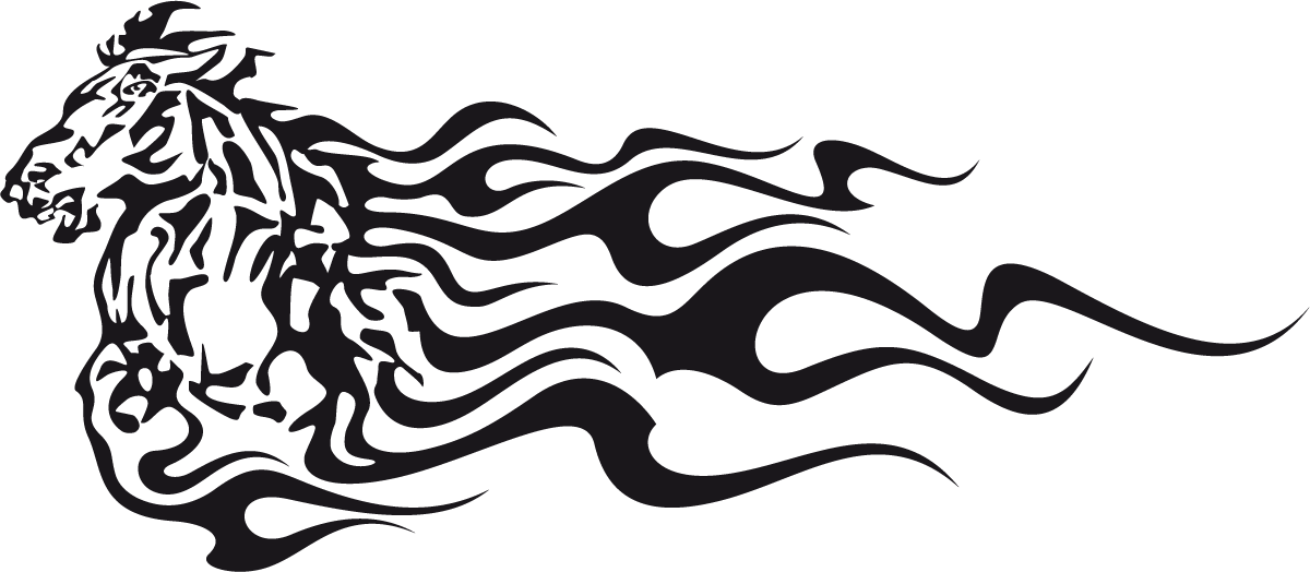 Car & Motorbike Stickers: Animal Flames 5