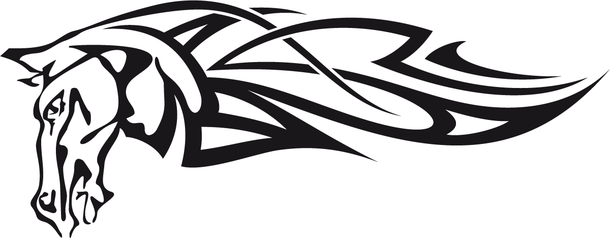 Car & Motorbike Stickers: Animal Flames 6