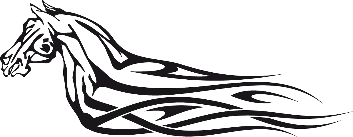 Car & Motorbike Stickers: Animal Flames 14