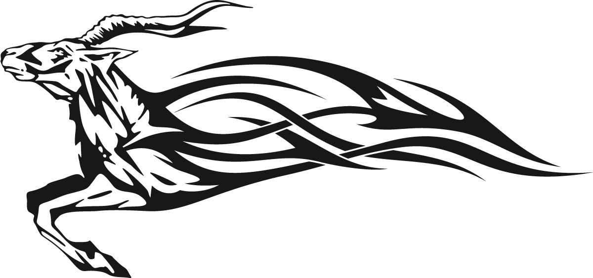 Car & Motorbike Stickers: Animal Flames 15