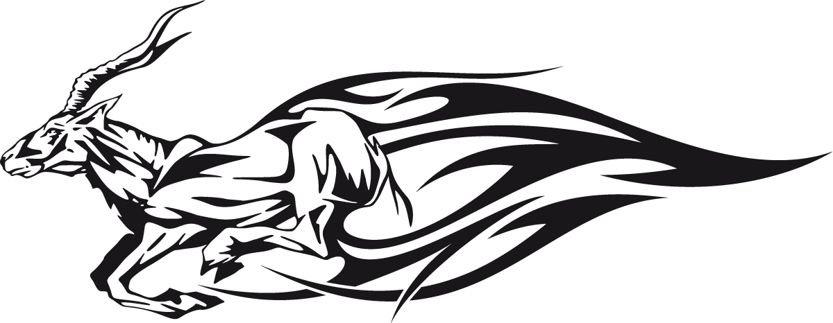 Car & Motorbike Stickers: Animal Flames 19