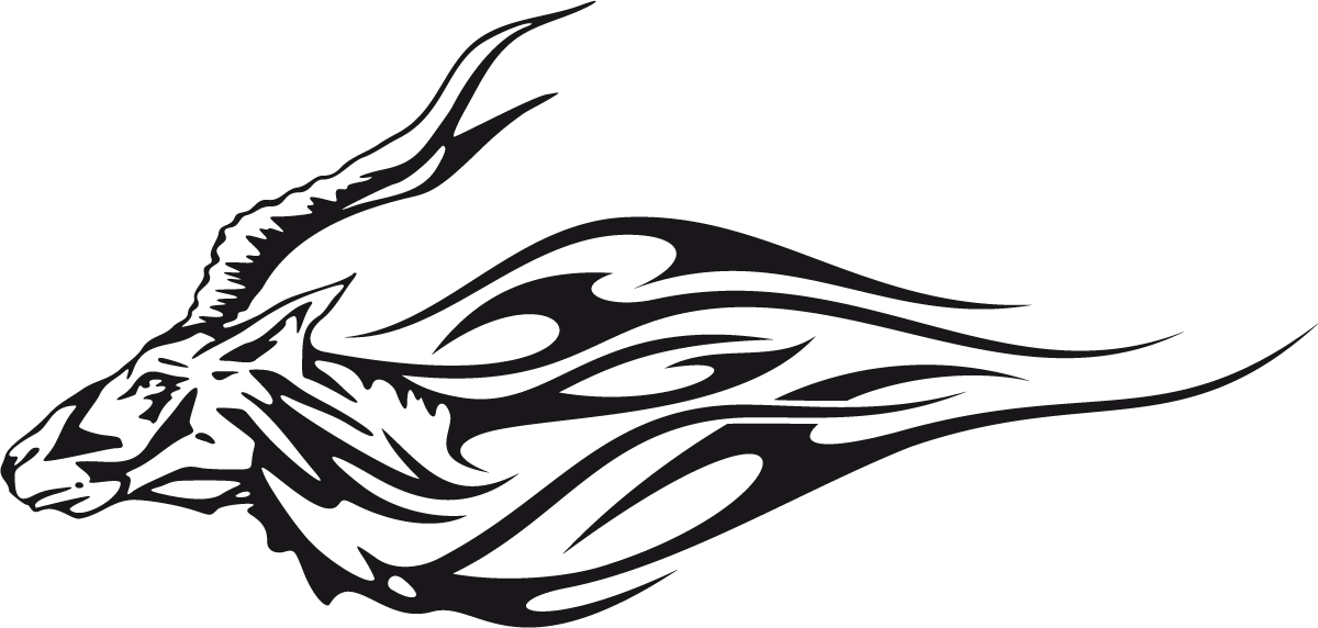 Car & Motorbike Stickers: Animal Flames 21