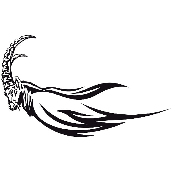 Car & Motorbike Stickers: Animal Flames 25