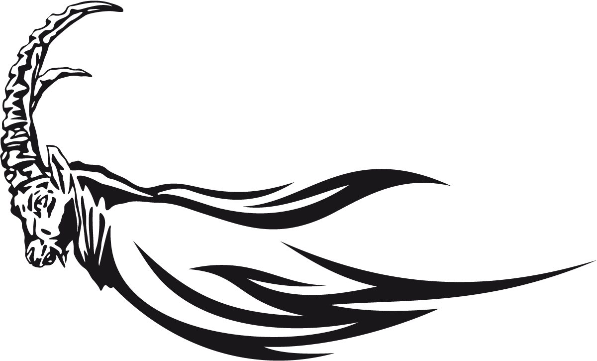 Car & Motorbike Stickers: Animal Flames 25