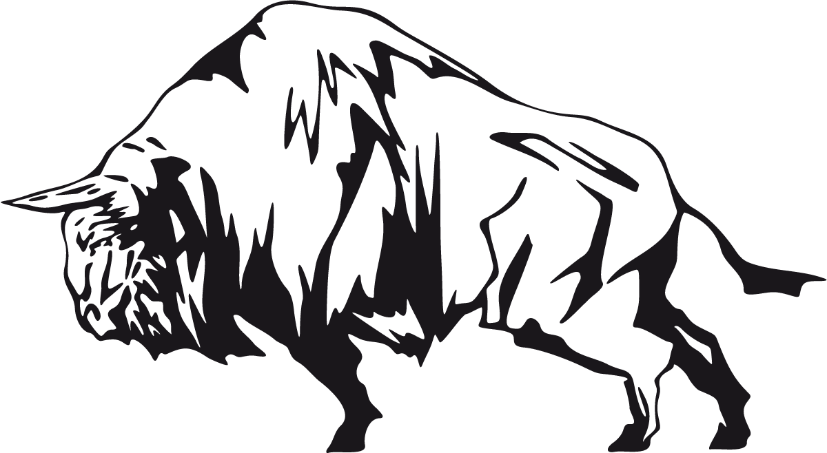 Car & Motorbike Stickers: Animal Flames 45