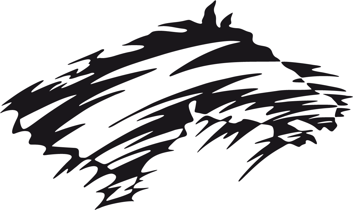 Car & Motorbike Stickers: Animal Flames 57