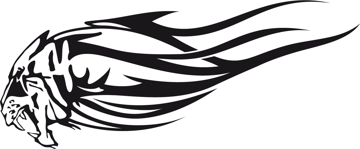 Car & Motorbike Stickers: Animal Flames 71