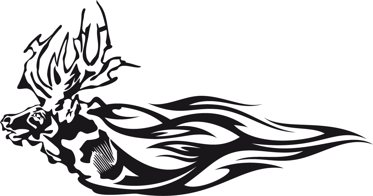 Car & Motorbike Stickers: Animal Flames 80