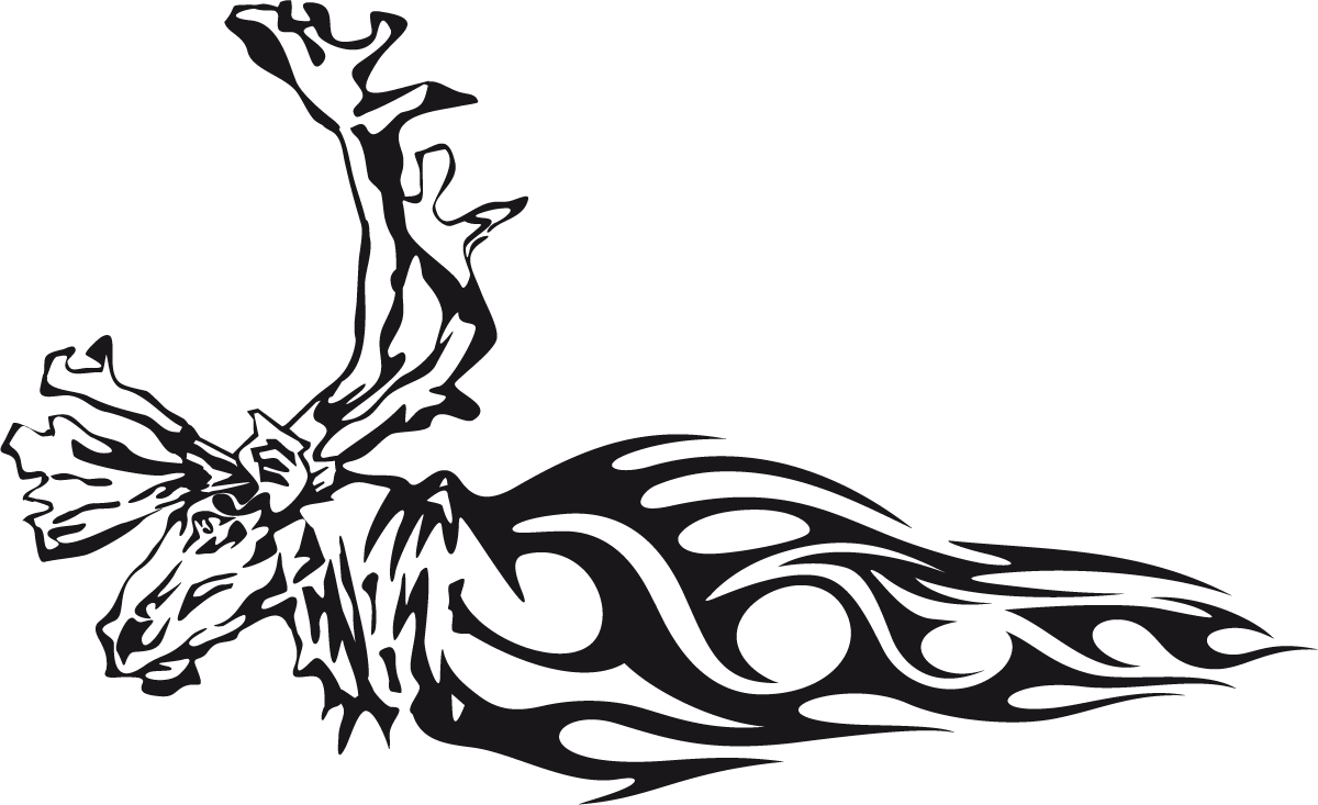 Car & Motorbike Stickers: Animal Flames 82