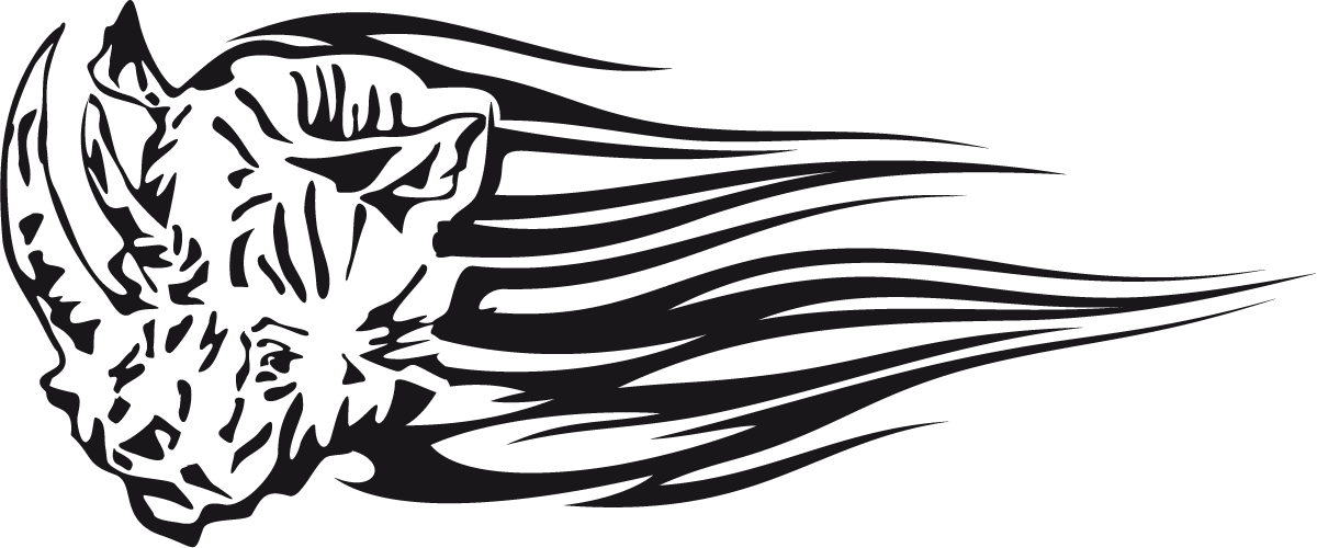 Car & Motorbike Stickers: Animal Flames 86