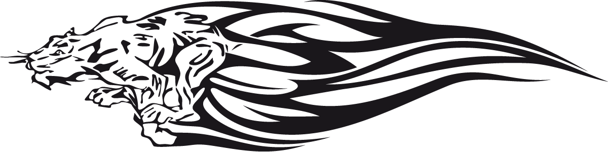 Car & Motorbike Stickers: Animal Flames 99
