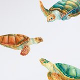 Wall Stickers: Turtle Family 5