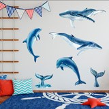 Stickers for Kids: Whales and Dolphins 3
