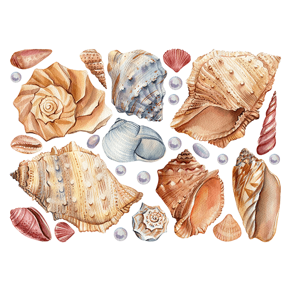 Wall Stickers: Seashells 0