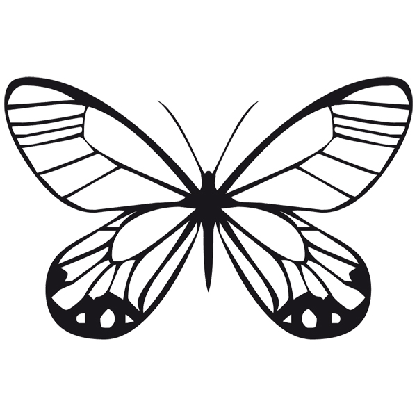 Wall Stickers: Butterfly Tatochila Butterfly