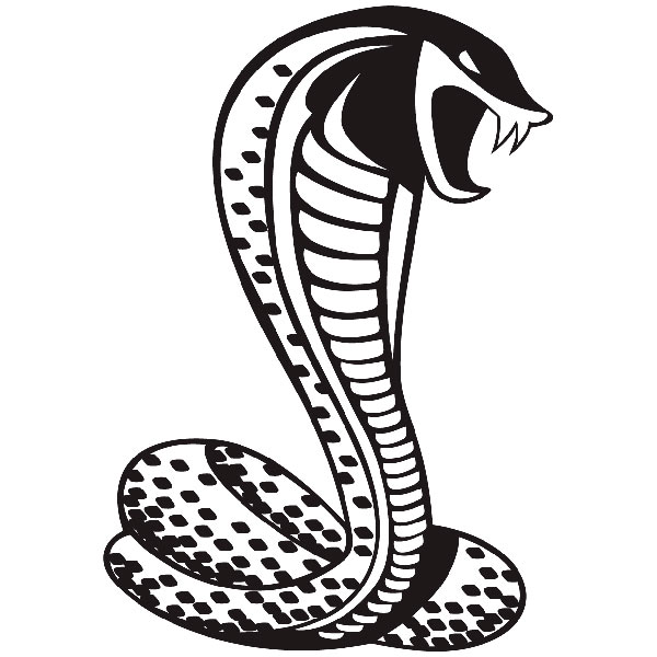 Wall Stickers: Cobra