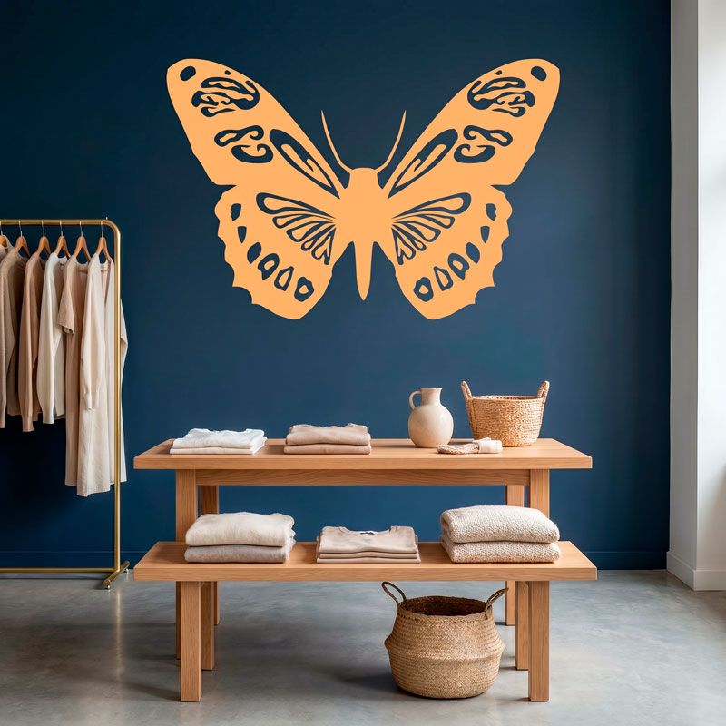Butterfly Colias Vauthieri 4