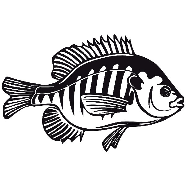 Wall Stickers: Fish Sargo