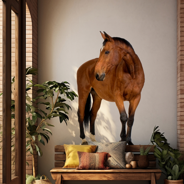 Wall Stickers: Brown horse