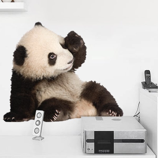 Wall Stickers: Breeding panda bear