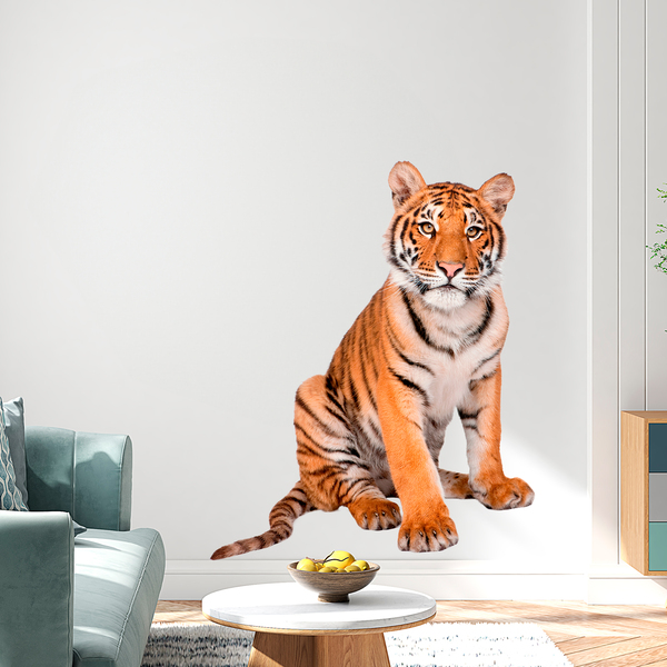 Wall Stickers: Young Siberian tiger