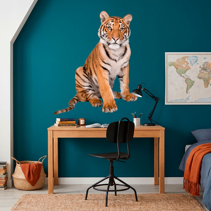 Young Siberian tiger 5/10