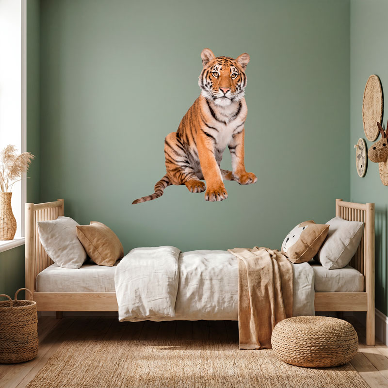 Young Siberian tiger 6/10