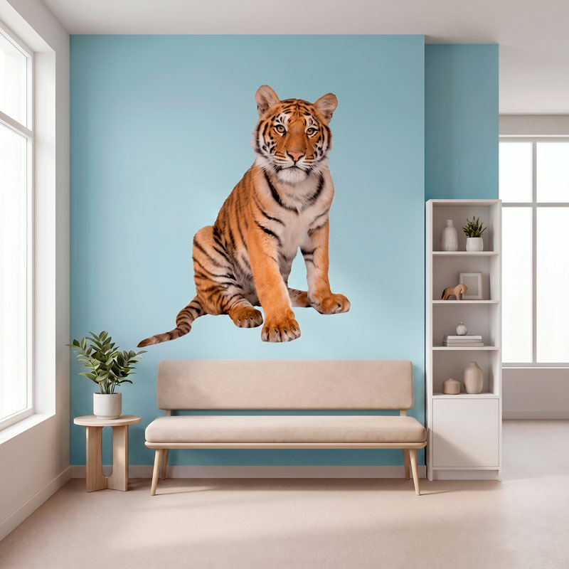 Young Siberian tiger 8/10