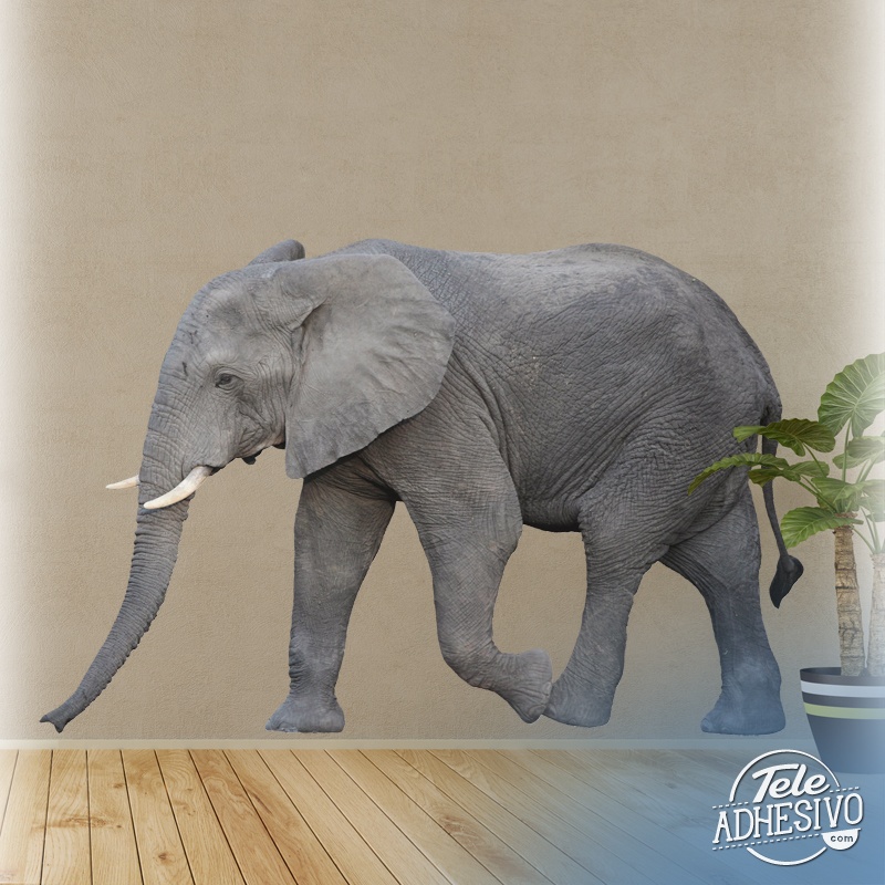 Wall Stickers: Elephant walking