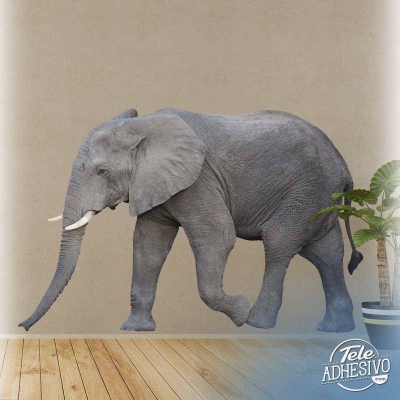 Wall Stickers: Elephant walking