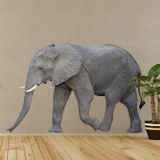 Wall Stickers: Elephant walking 3