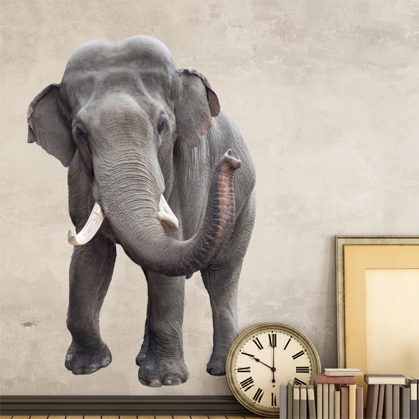 Wall sticker Elephant in front