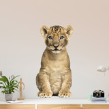 Wall Stickers: Lion cub 5
