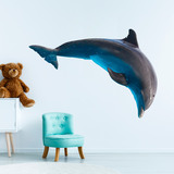 Wall Stickers: Dolphin 3