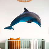 Wall Stickers: Dolphin 4