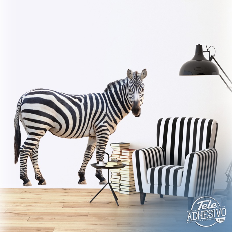 Wall Stickers: Zebra vigilant