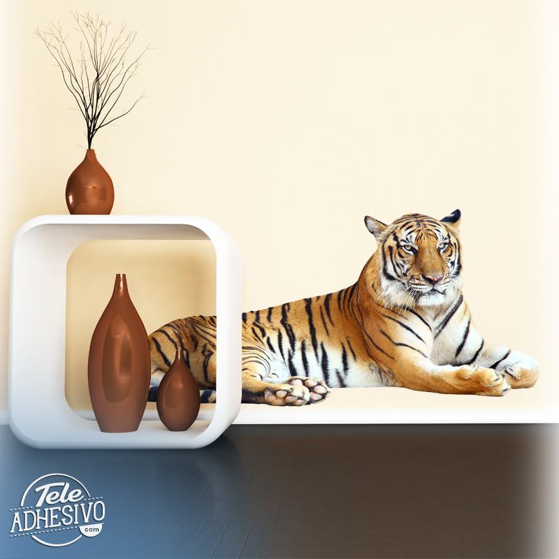 Wall Stickers: Relaxed tiger