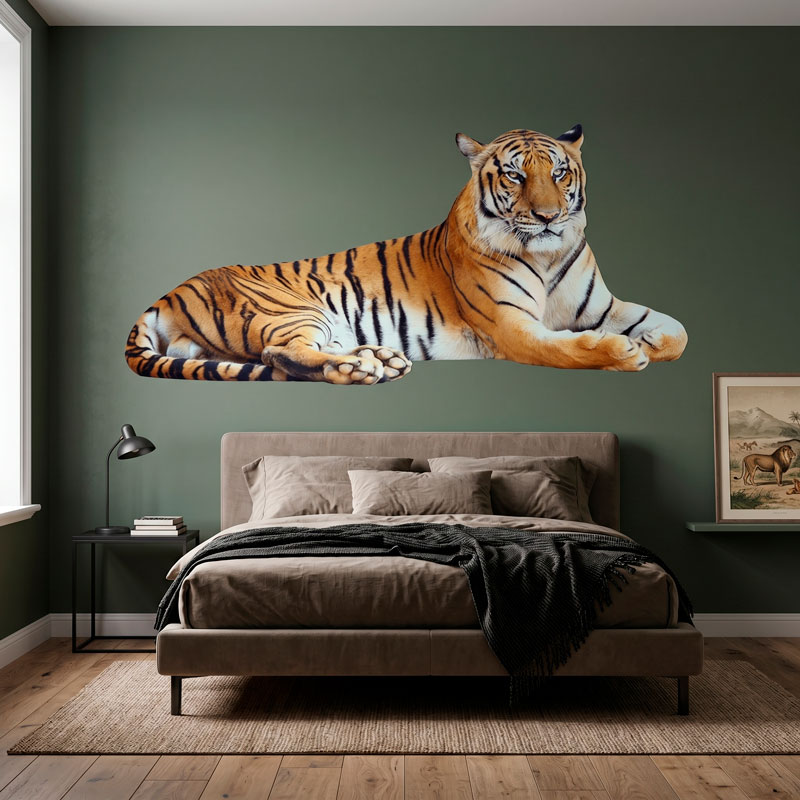 Relaxed tiger 6/6