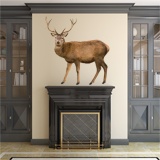 Wall Stickers: Deer 3