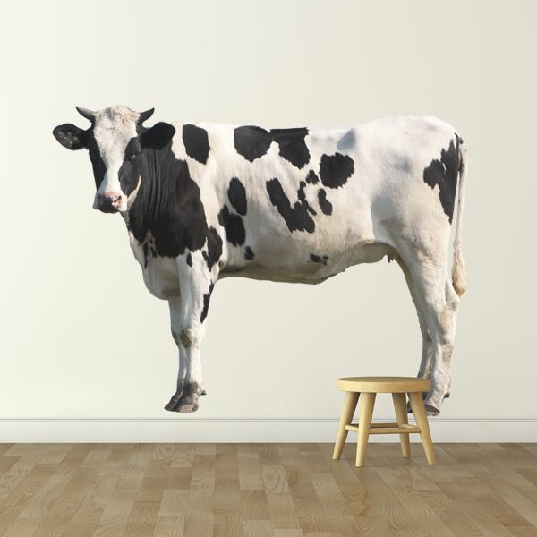 Wall Stickers: Holstein Cow