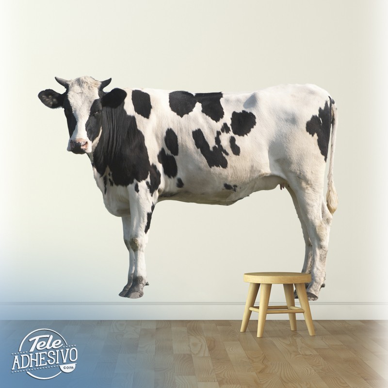 Wall Stickers: Holstein Cow