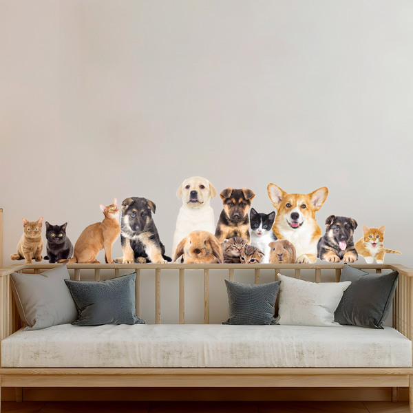 Wall Stickers: Pets