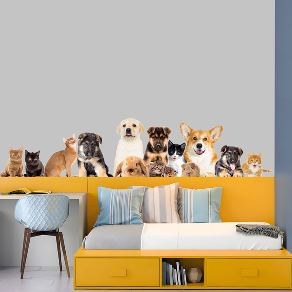 Wall Stickers: Pets