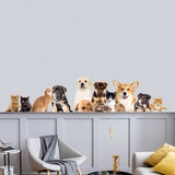 Wall Stickers: Pets 4
