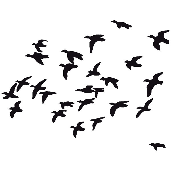 Wall Stickers: Flock birds
