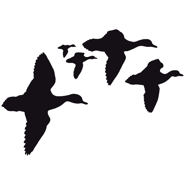 Wall Stickers: Flock of geese