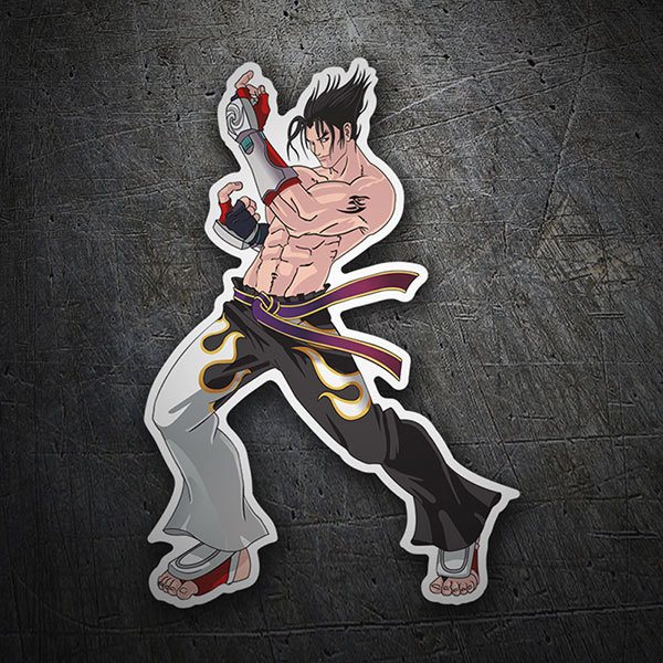 Car & Motorbike Stickers: Jin Kazama - Tekken