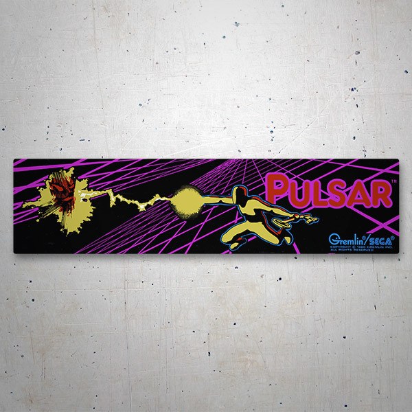 Car & Motorbike Stickers: Pulsar