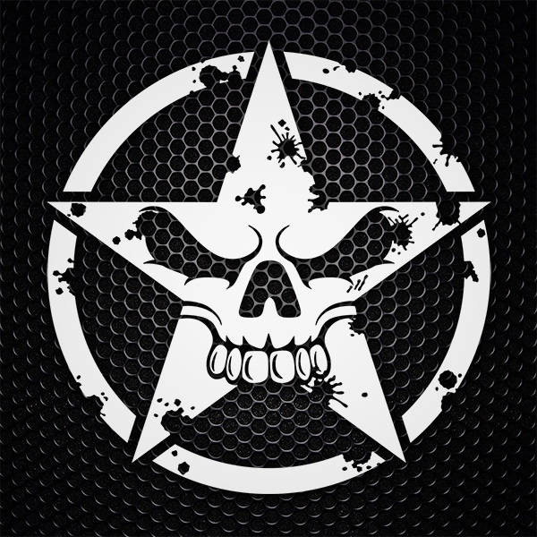 Car & Motorbike Stickers: Worn skull star
